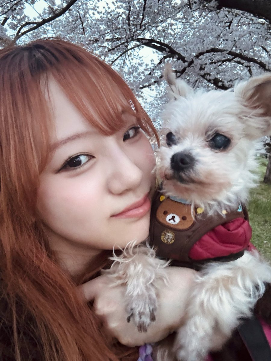 佐藤 奏🥁Kanade Sato tweet media