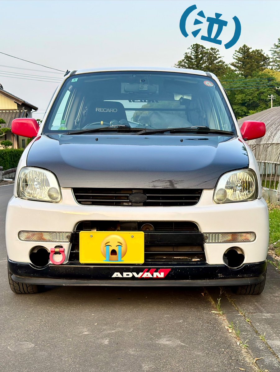 🌸伶🌻 tweet media