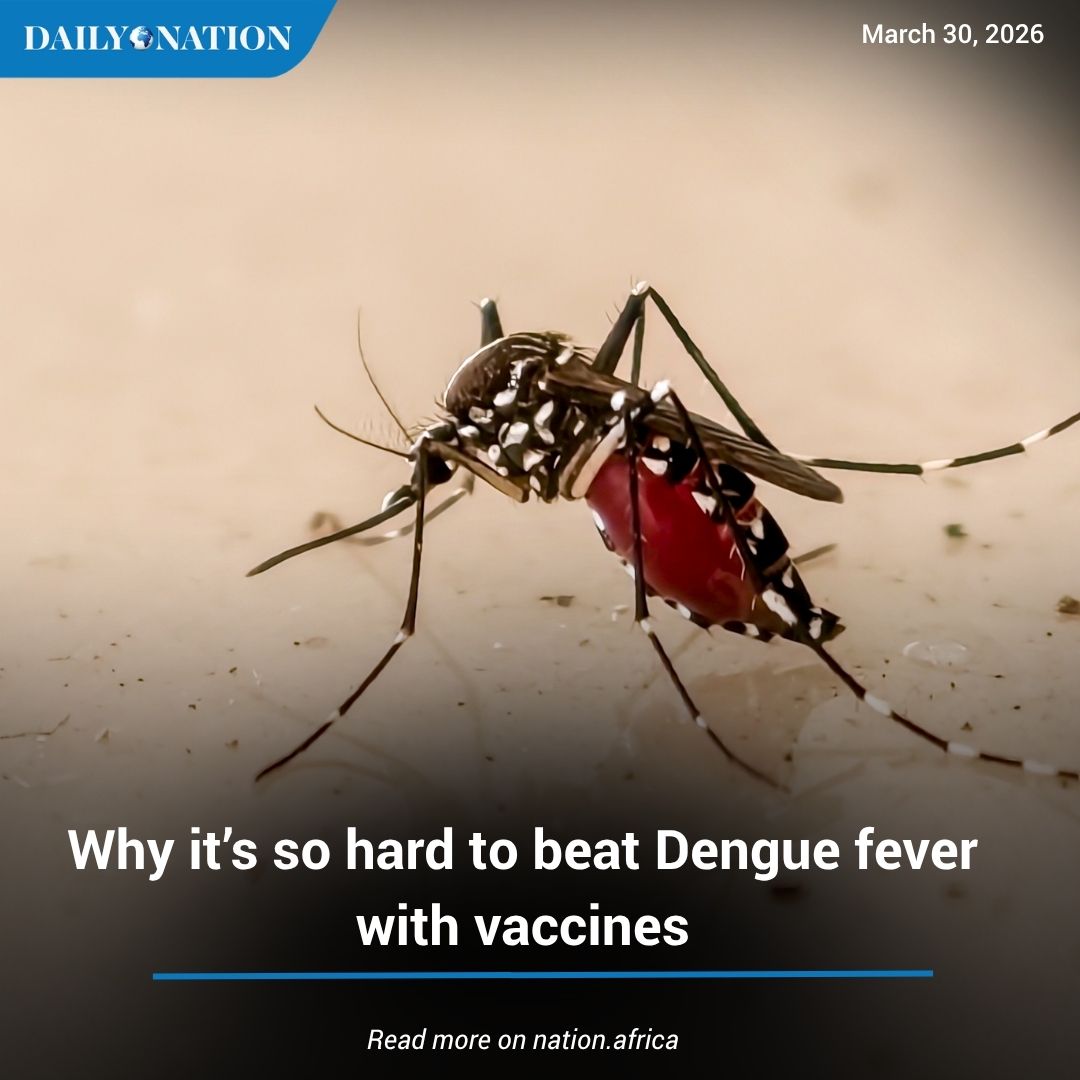 NationAfrica's tweet image. As warmer temperatures and urban growth push the world’s most common mosquito-borne virus into new regions, countries that once saw few cases are now facing outbreaks.

#Earthwise zurl.co/0TG7M