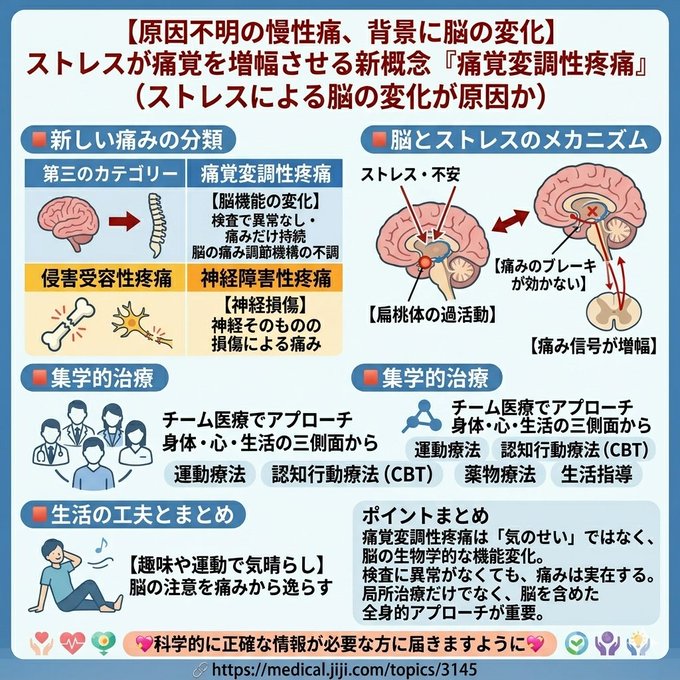 長谷川淳史 tweet media