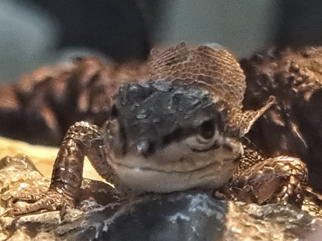 あぷちゃん tweet media