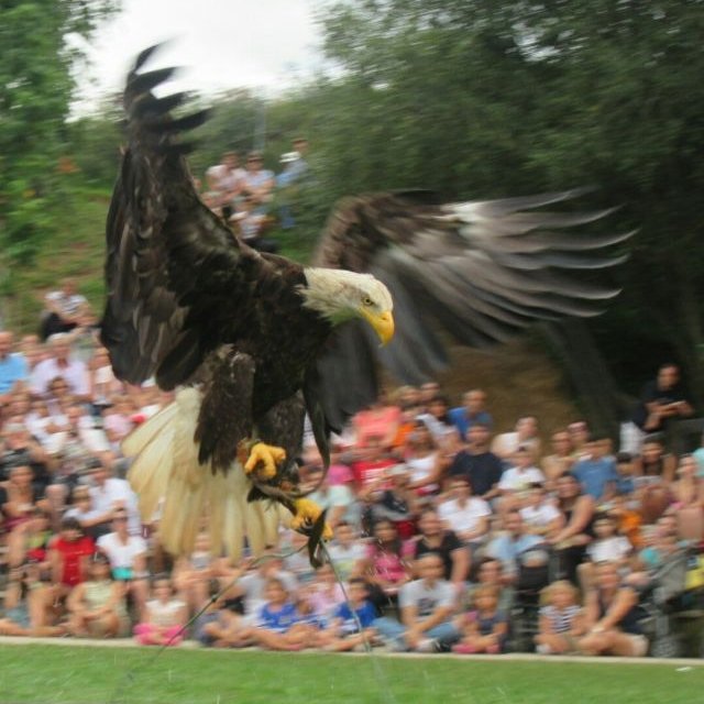 Parque de Cabárceno tweet media