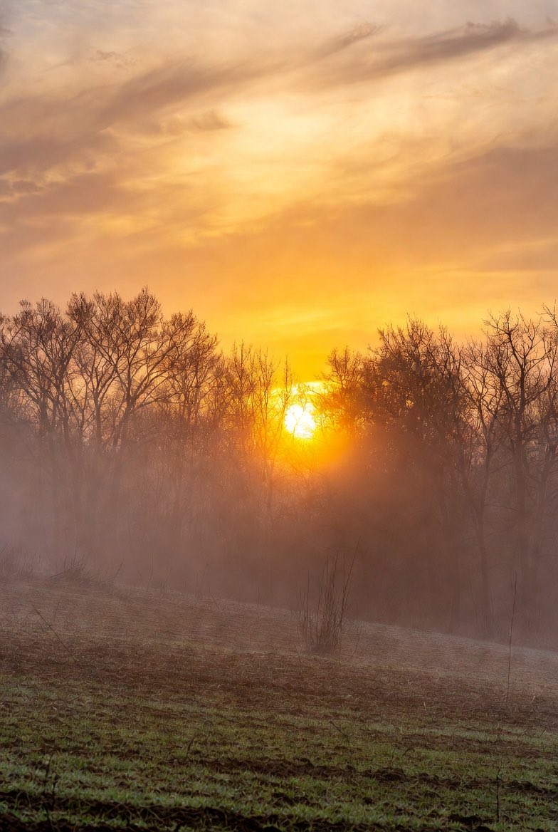 Randy Bush tweet media
