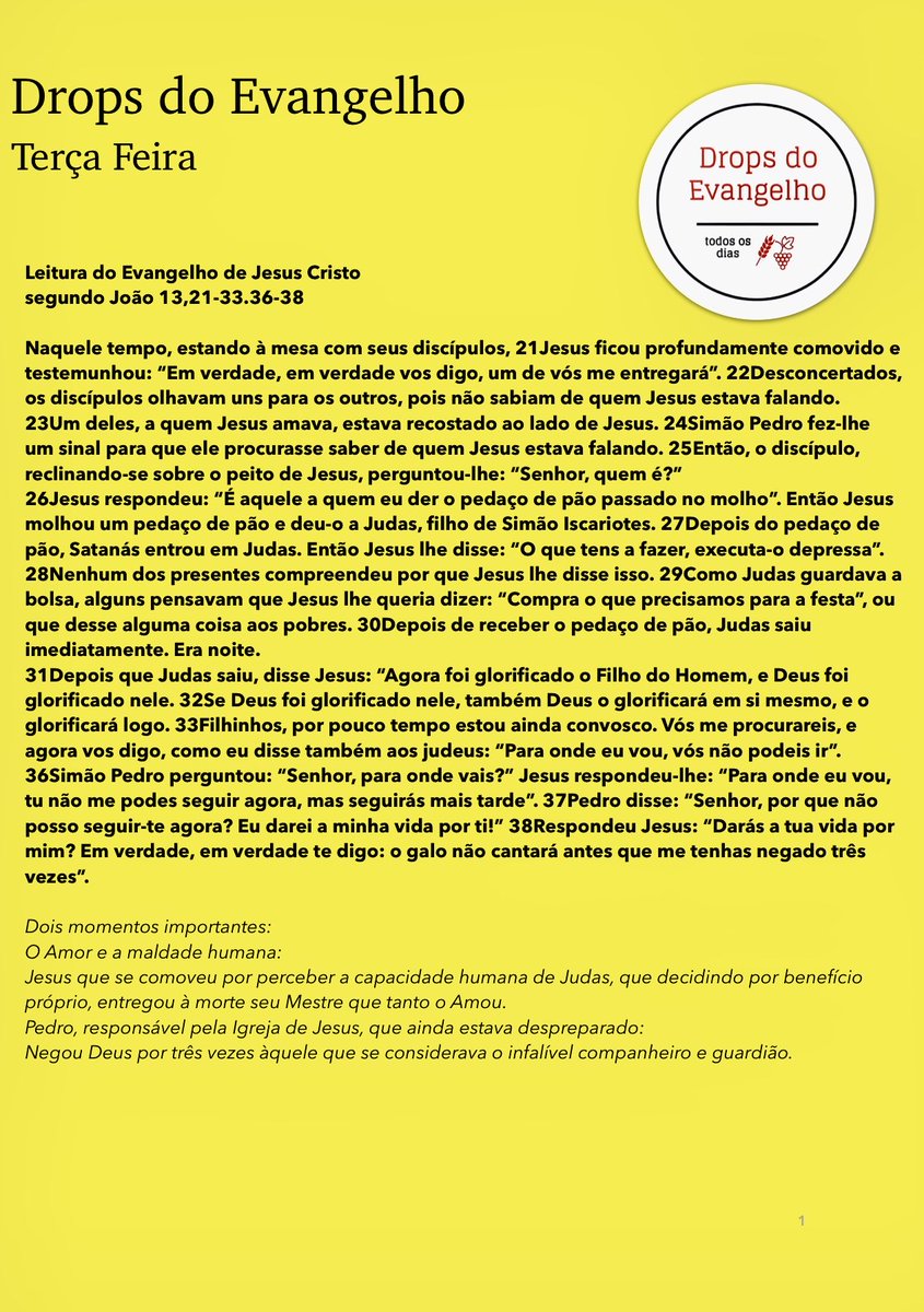 Augusto Amato Junior tweet media