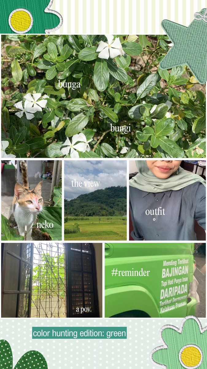 òᴗódi tweet media