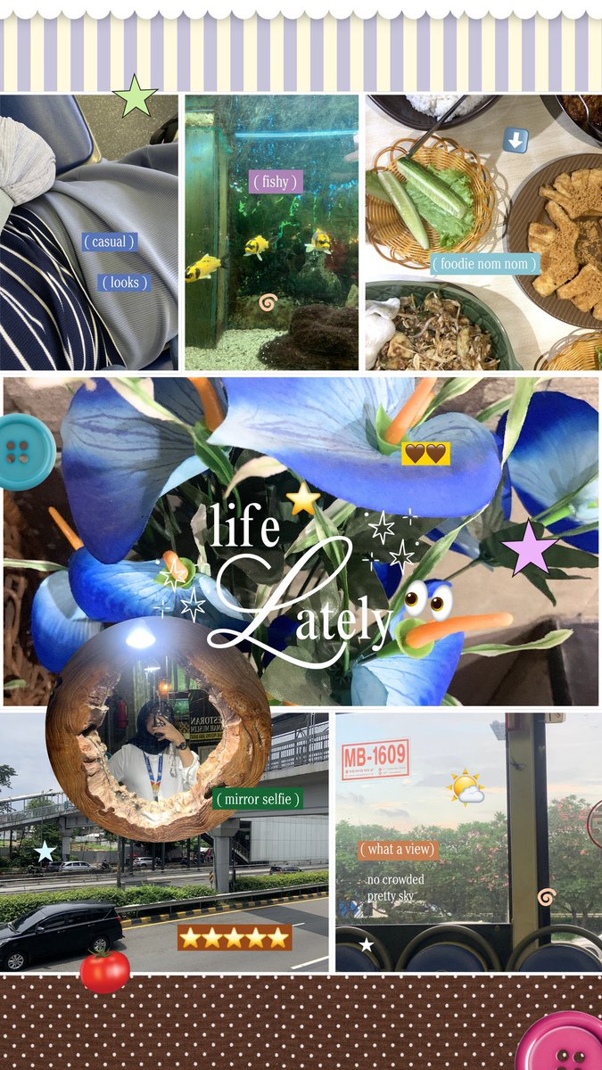 òᴗódi tweet media