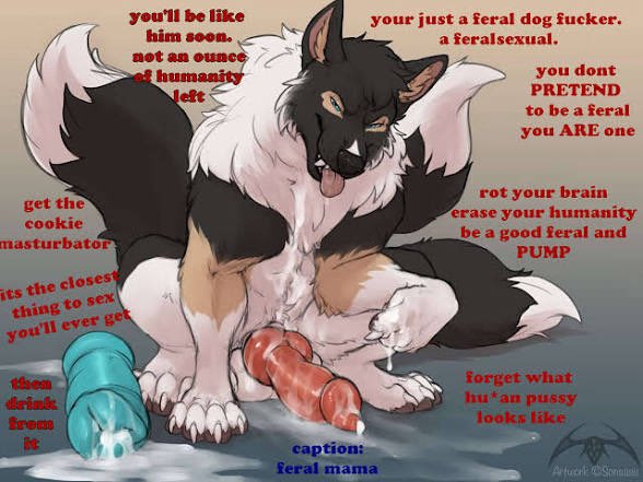 🐶🥩 tweet media
