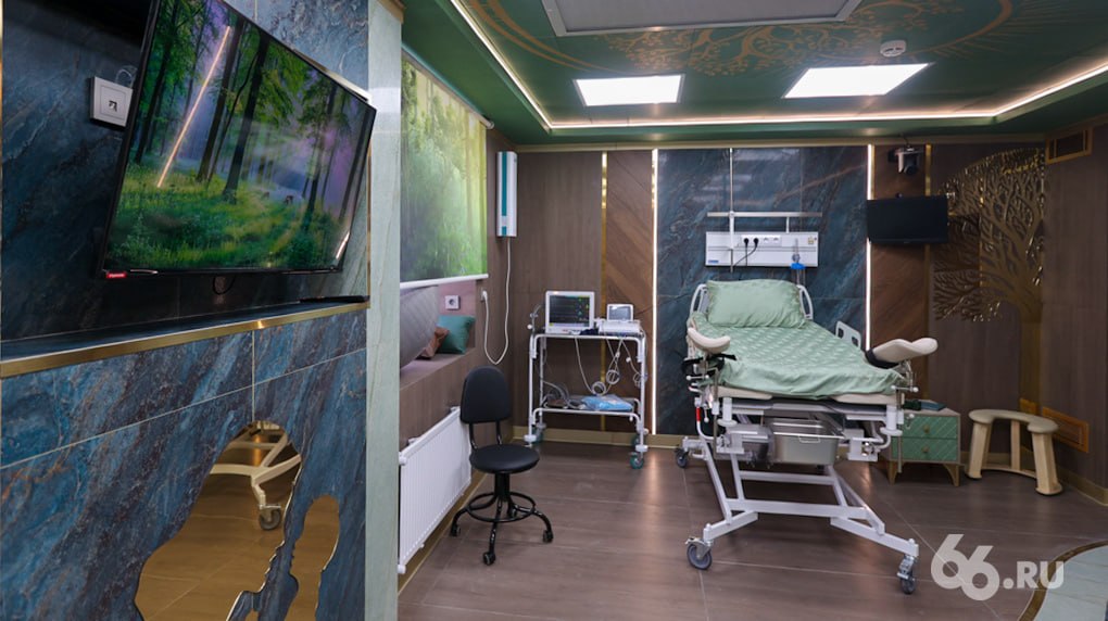 Новости от 66.RU tweet media