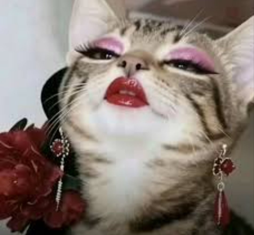 Kerasaur tweet media