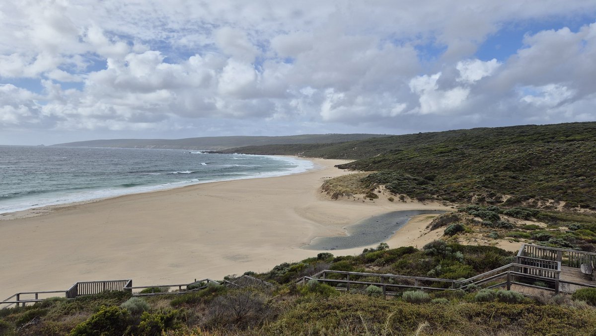 taipan168 tweet media