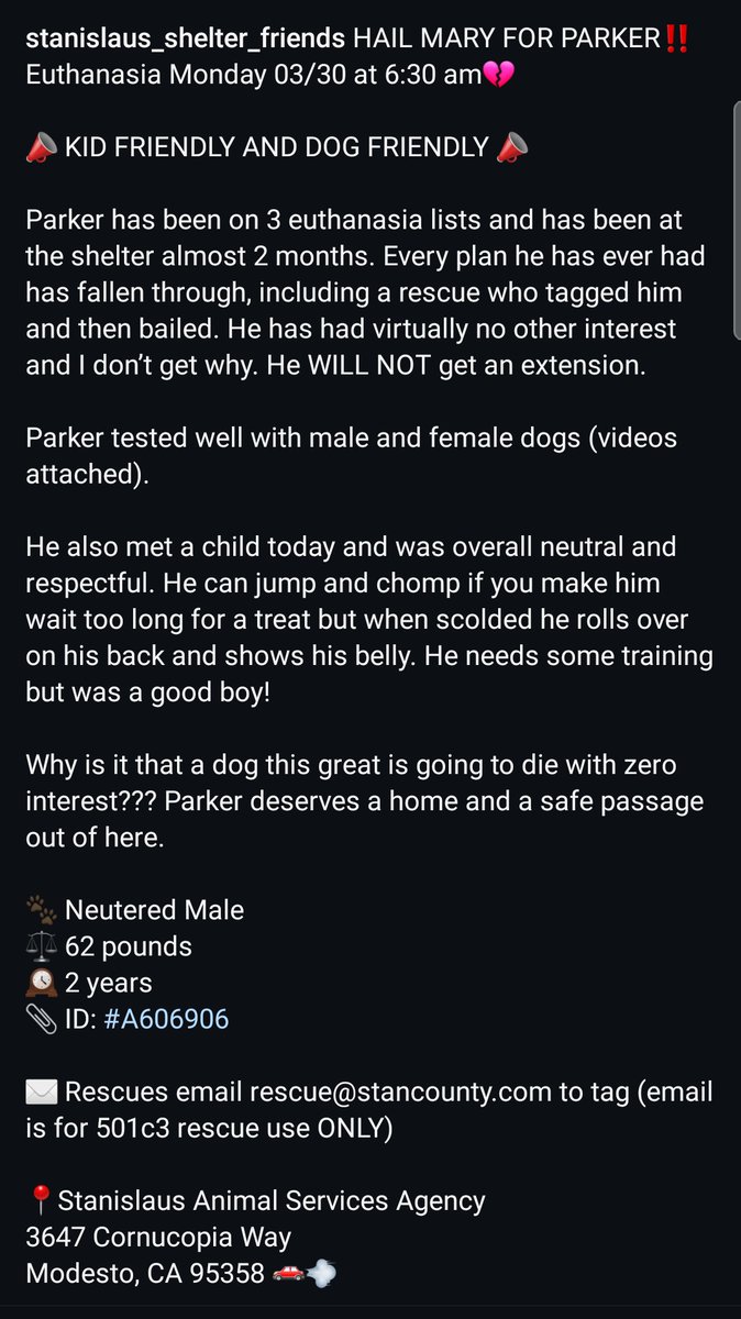 Foster a shelterpet at ZERO COST🐾 tweet media