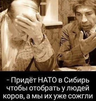 Двач tweet media