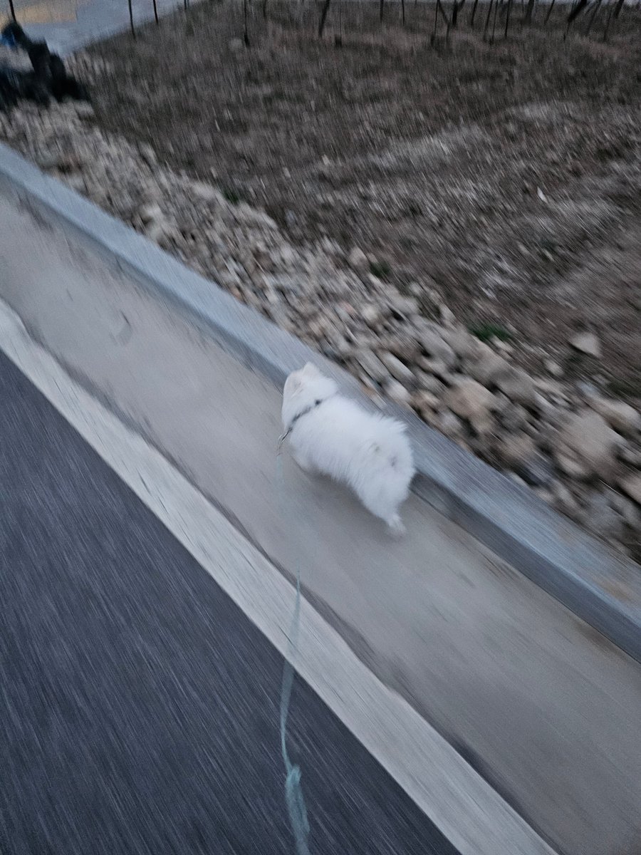 두르강튀아 tweet media