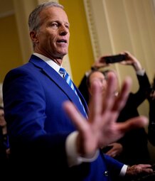 Pepe Deluxe 🐸 tweet media