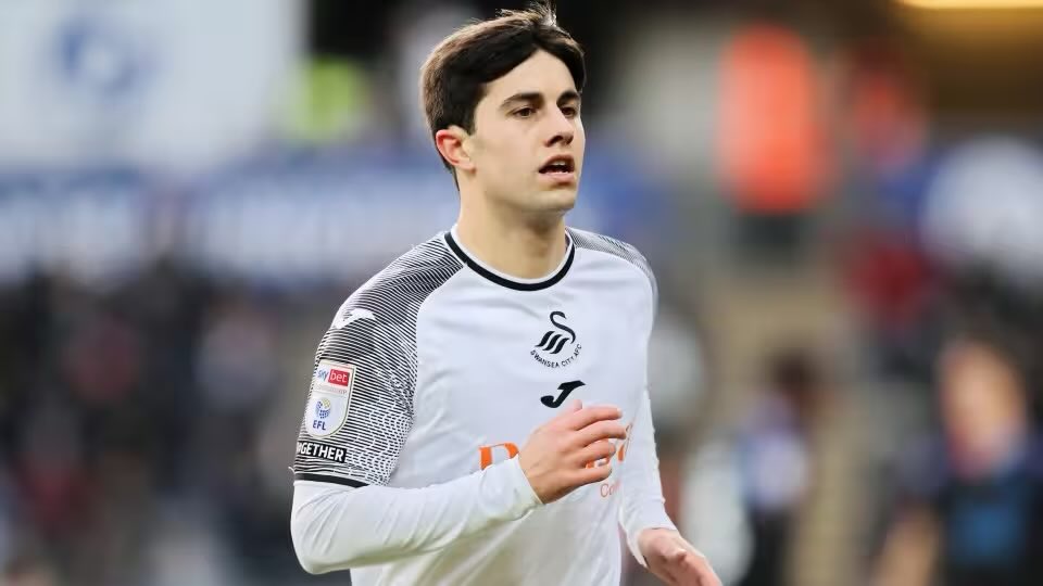 Only Swans tweet media