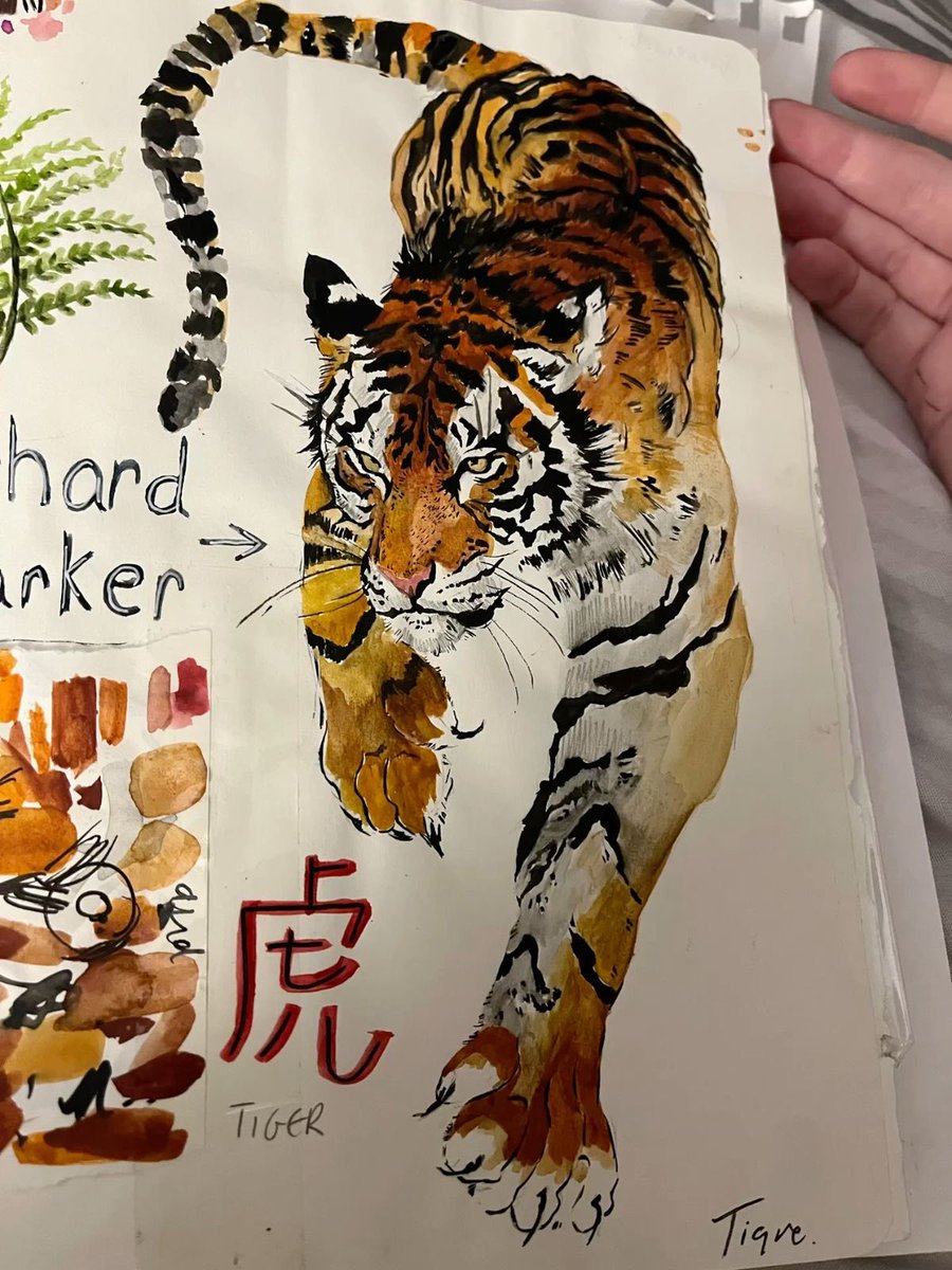 PmAmTraveller tweet media