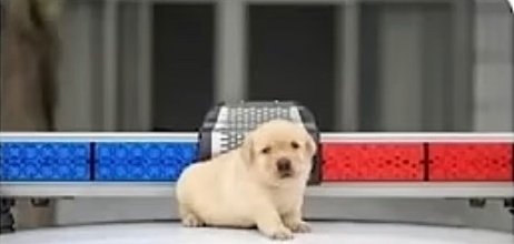 FlareTotalPop✍️🎉 tweet media