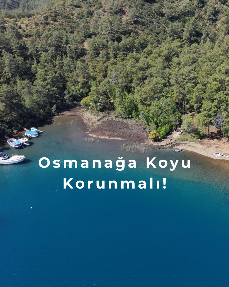akdenizkoruma's tweet photo. Fethiye Göcek Özel Çevre Koruma Bölgesi’nde yer alan Osmanağa Koyu’nda yürütülen işletme ve yapılaşma faaliyetlerinin, bölgenin koruma statüsü ve ilgili mevzuat çerçevesinde değerlendirilmesi gerekmektedir.

Osmanağa Koyu’nda, yürütülen işletme ve yapılaşma faaliyetine ilişkin kamuoyunun yeterince bilgilendirilmemesi ve izin süreçlerine dair şeffaflığın sınırlı olması, sürecin koruma ilkeleri doğrultusunda yürütülüp yürütülmediğine dair kaygı yaratmaktadır. Bu kapsamda ilgili süreçlerin yetkili kurumlarca kamuoyuna açık ve anlaşılır şekilde paylaşılması önem arz etmektedir.

Tür ve habitatların yaşamlarını sürdürebilmesi ve iklim krizinin etkilerine karşı direnç geliştirebilmesi için bu alanların korunması kritik öneme sahip. Her yeni kullanım, insan faaliyetlerinin denizel ve kıyısal ekosistemler üzerinde yarattığı baskıyı artırmaktadır.

Bu nedenle kıyı ve deniz alanlarının kullanımı:
• bilimsel verilerle belirlenmiş taşıma kapasitesi,
• etkin izleme ve denetim mekanizmaları,
• şeffaf, katılımcı ve hesap verebilir yönetim anlayışı çerçevesinde ele alınmalıdır.

Tüm ilgili kurumları, karar vericileri ve alanı kullanan tüm paydaşları; bu eşsiz, hassas ve yüksek koruma değerine sahip ekosistemlerin korunması için sorumluluk almaya davet ediyoruz. Akdeniz Koruma Derneği olarak sürecin takipçisi olmaya devam edeceğiz.

#AkdenizKoruma #OsmanağaKoyu #DenizKoruma #GöcekKoyları
