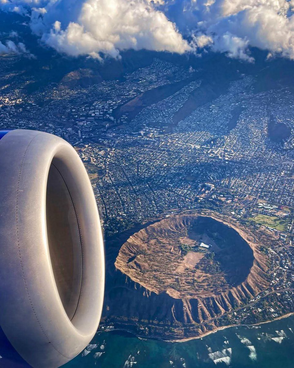 Wildscape Wonders tweet media