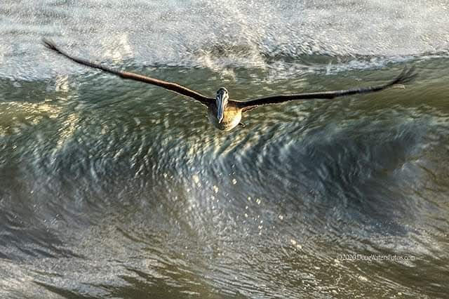 Hippychick tweet media