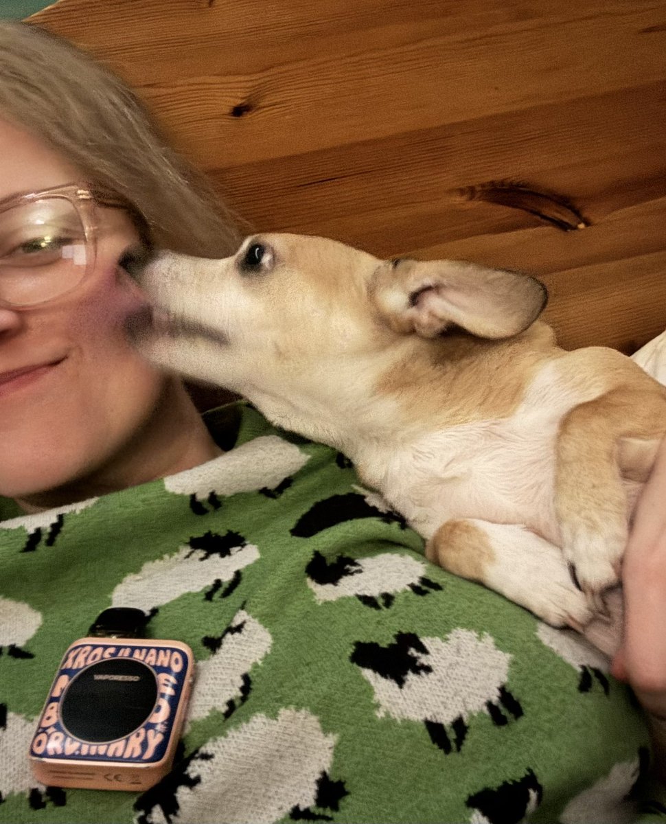 MummyisTired tweet media