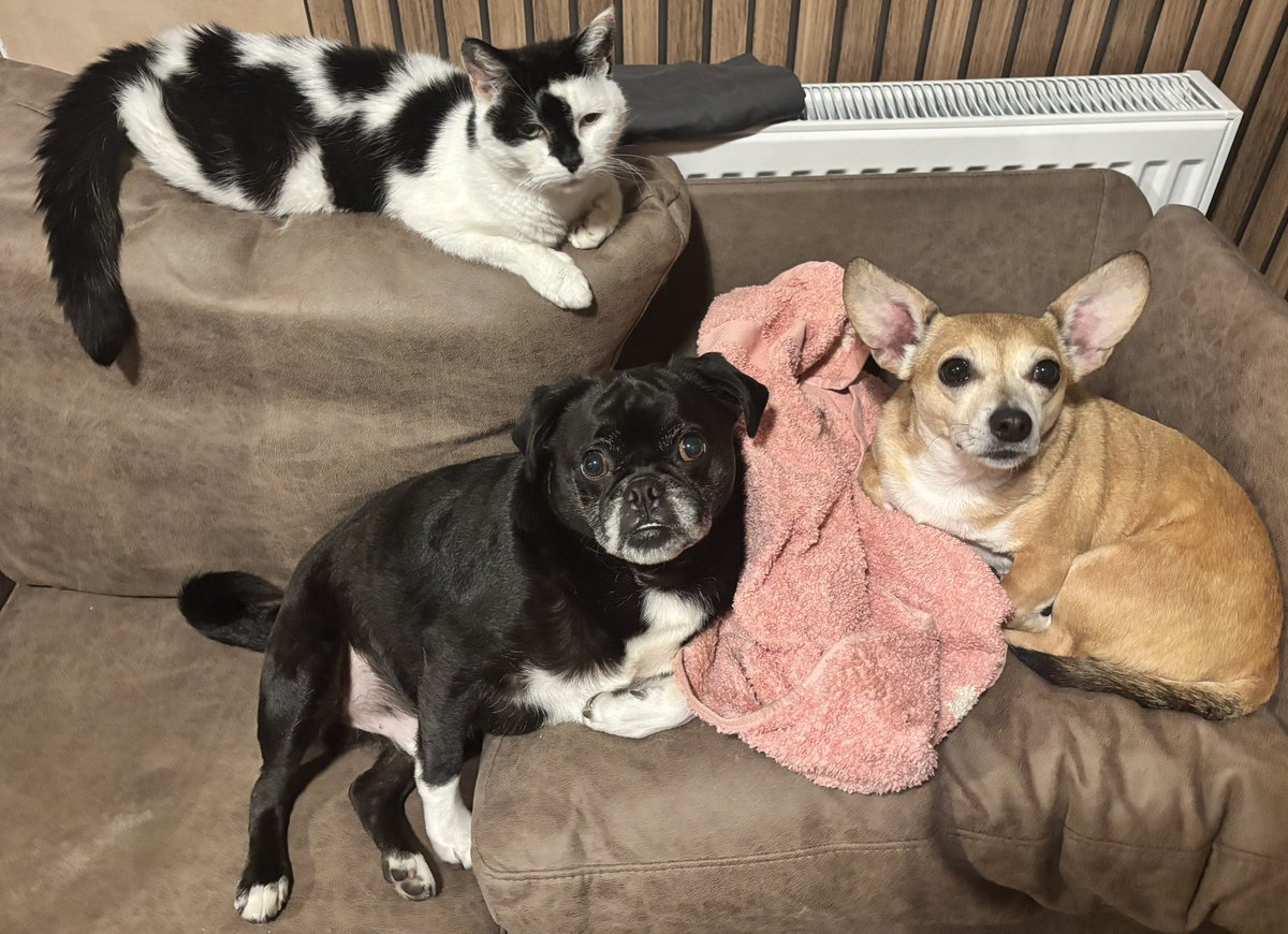 MummyisTired tweet media