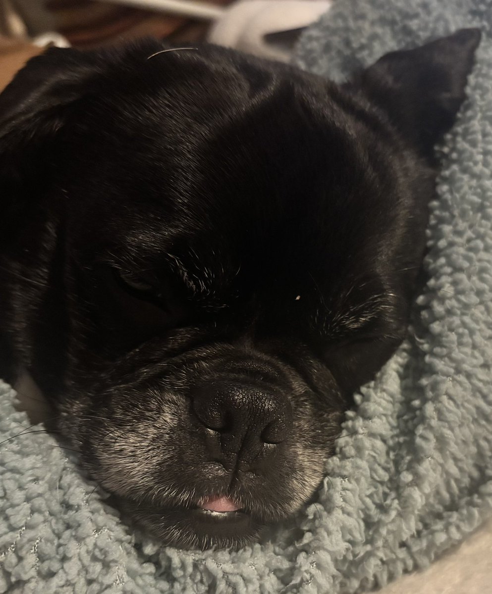 MummyisTired tweet media