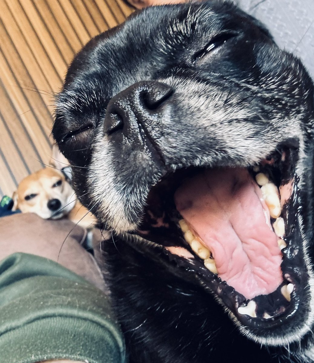 MummyisTired tweet media