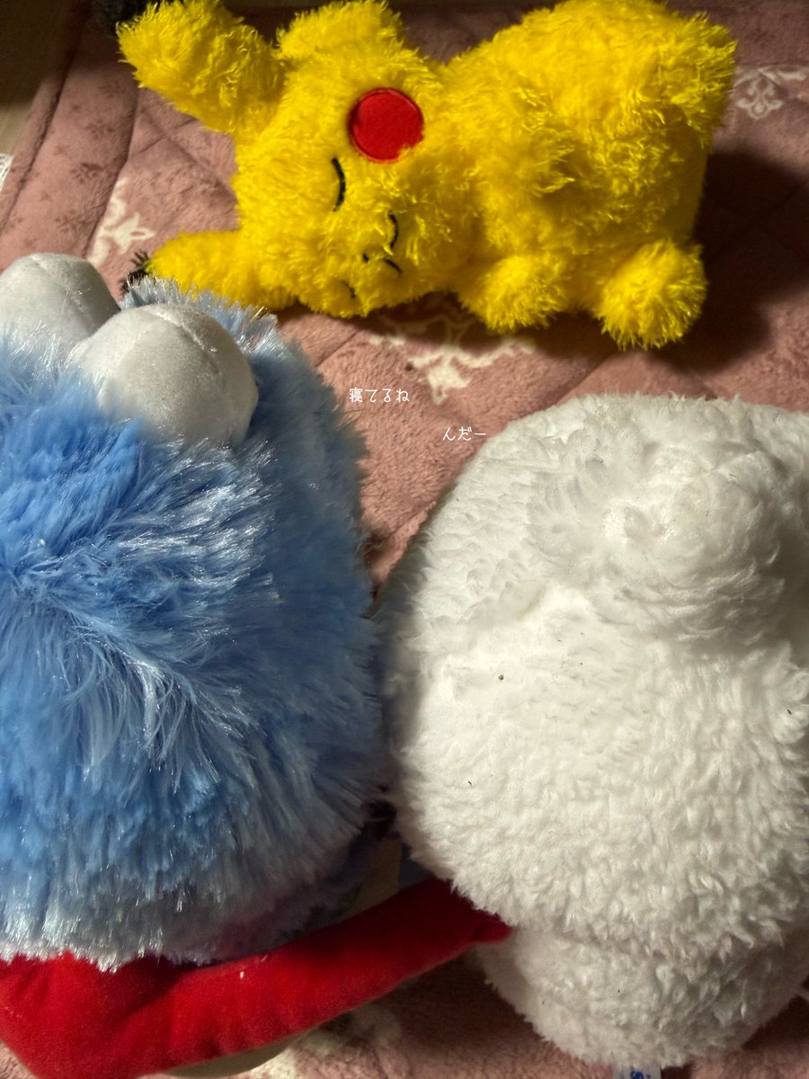 ふぁん太郎 tweet media