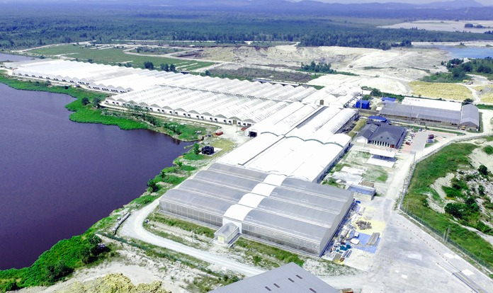 Corenthin_Cha's tweet photo. [ Largest insect farm #BSF in poly greenhouses ]

From the first photos of the site in 2017 to the project today...

Still the largest project of this kind in the world, 3 years of intense work to make it !

#blacksoldierfly  #greenhouse #insectfarming #protein #animalfeed https://t.co/MYEUx0fl1g