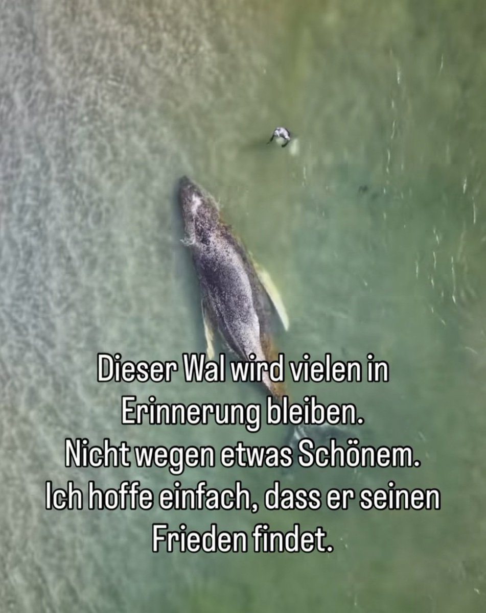 THINK⚠️😎 tweet media