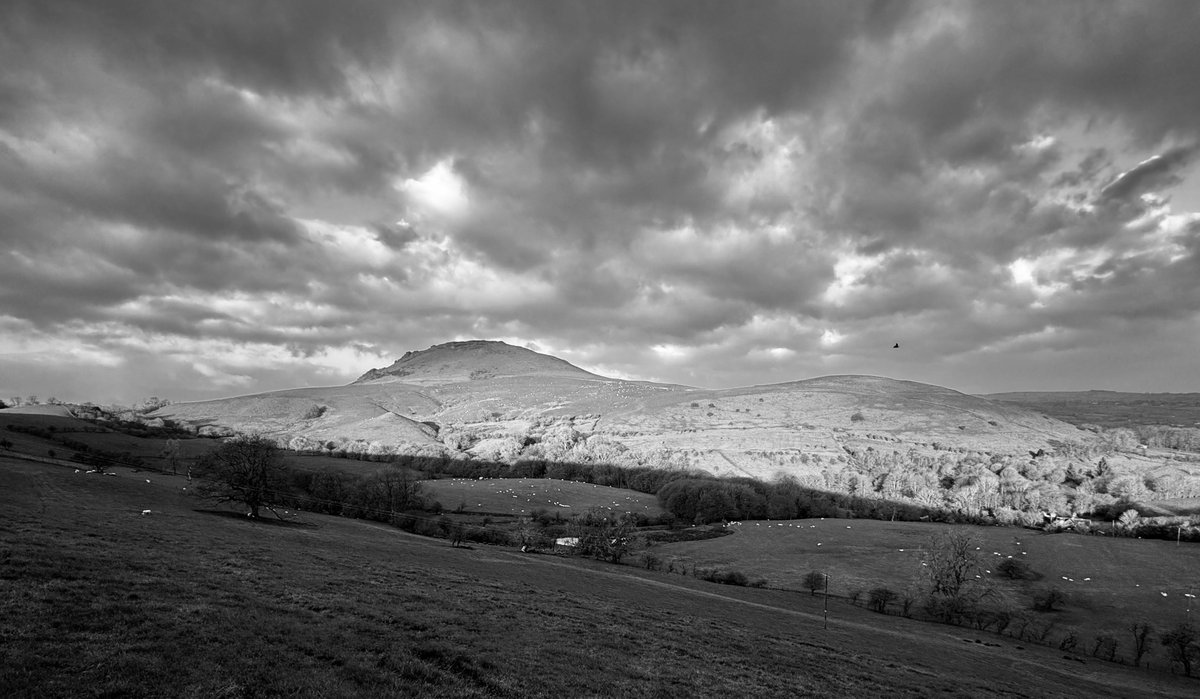 Steven Keating tweet media