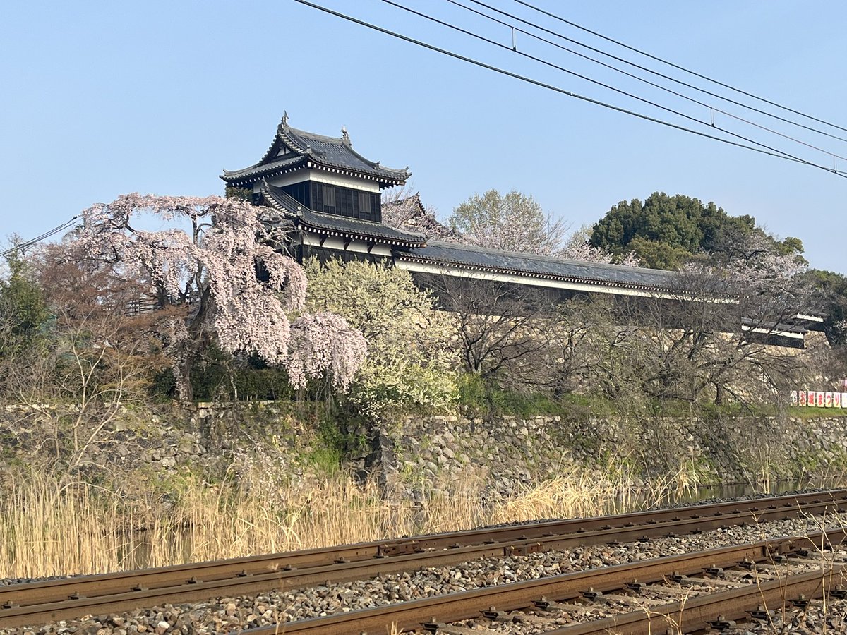 Vert/ヴェール tweet media