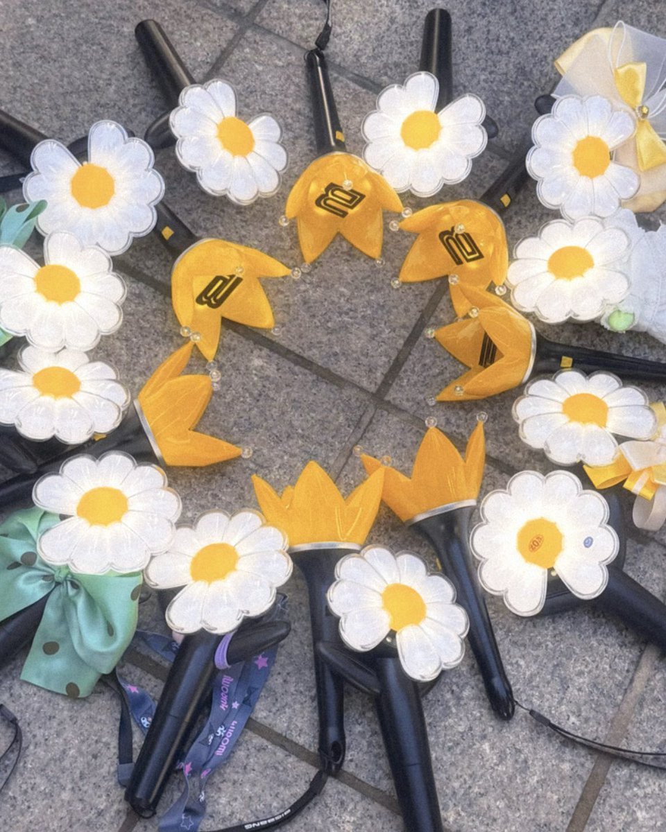 ꜰʟᴏ.ꜱ tweet media