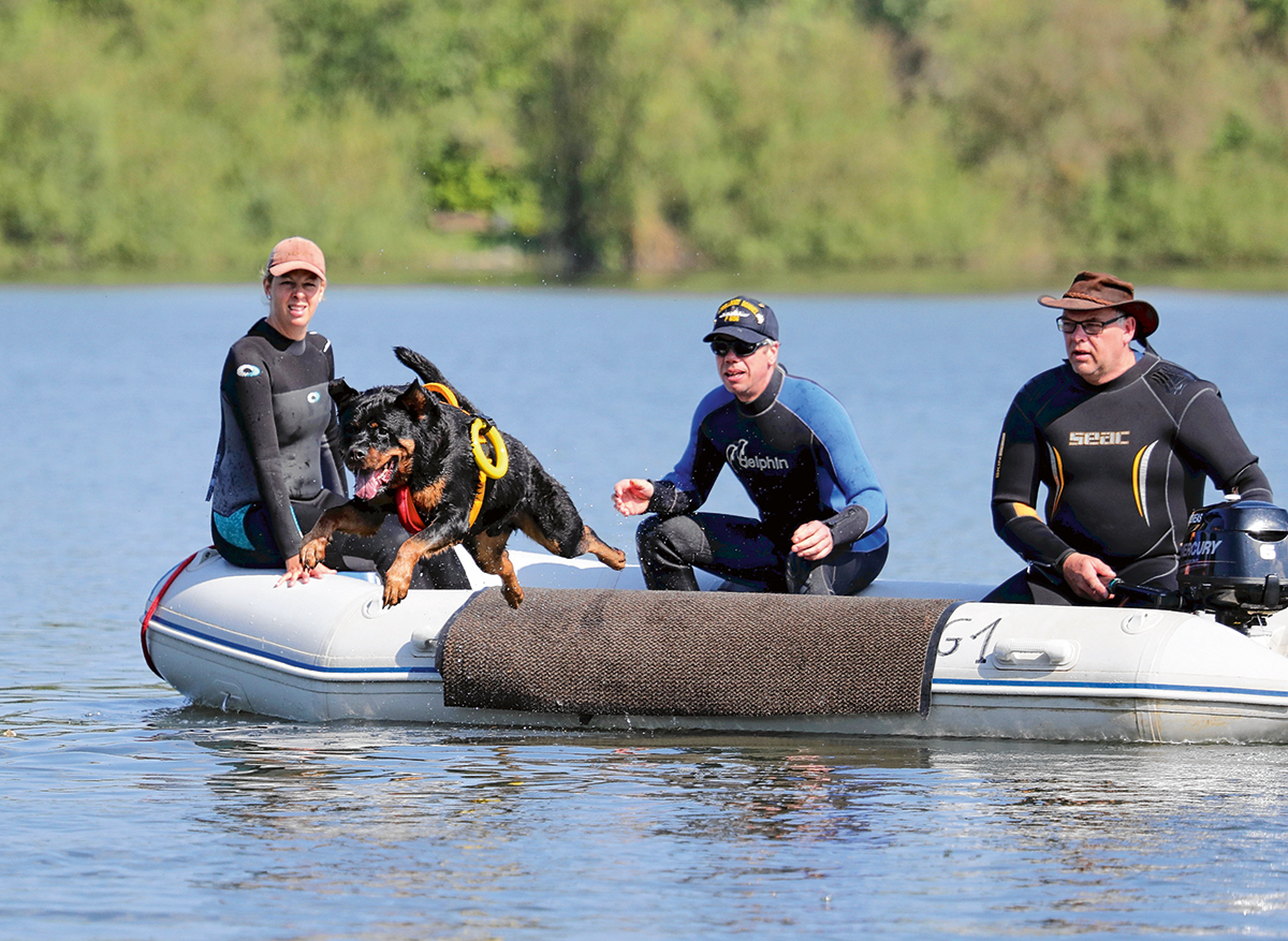 Erich Kronschnabel tweet media