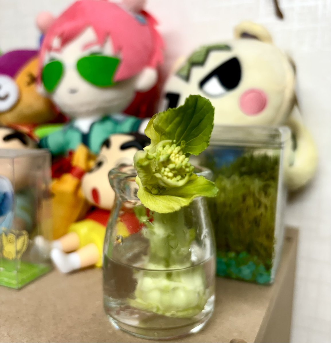 ์ฝฐ๋ง qamar ๐ฅ tweet media