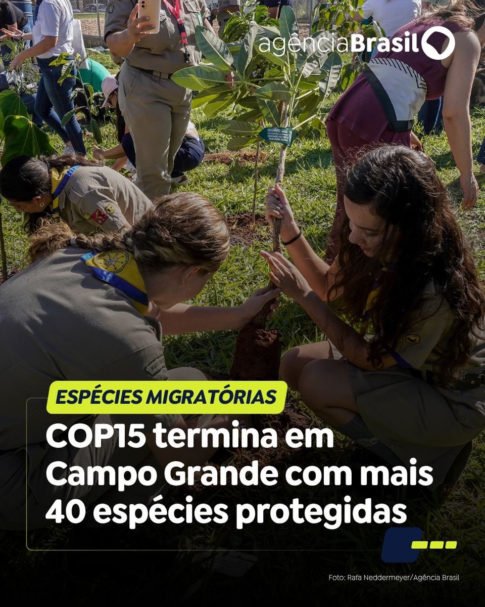 Agência Brasil tweet media