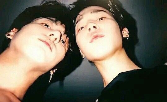 mrytlepotter tweet media