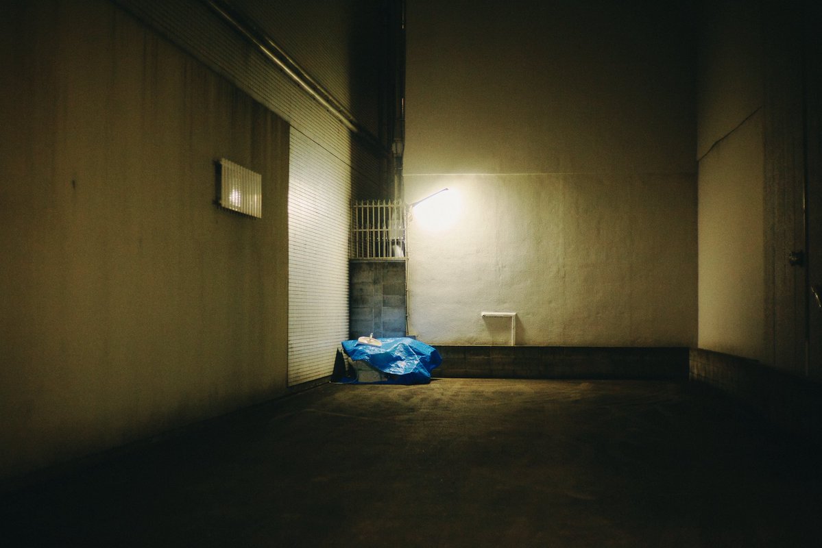 Lamp🪔 tweet media