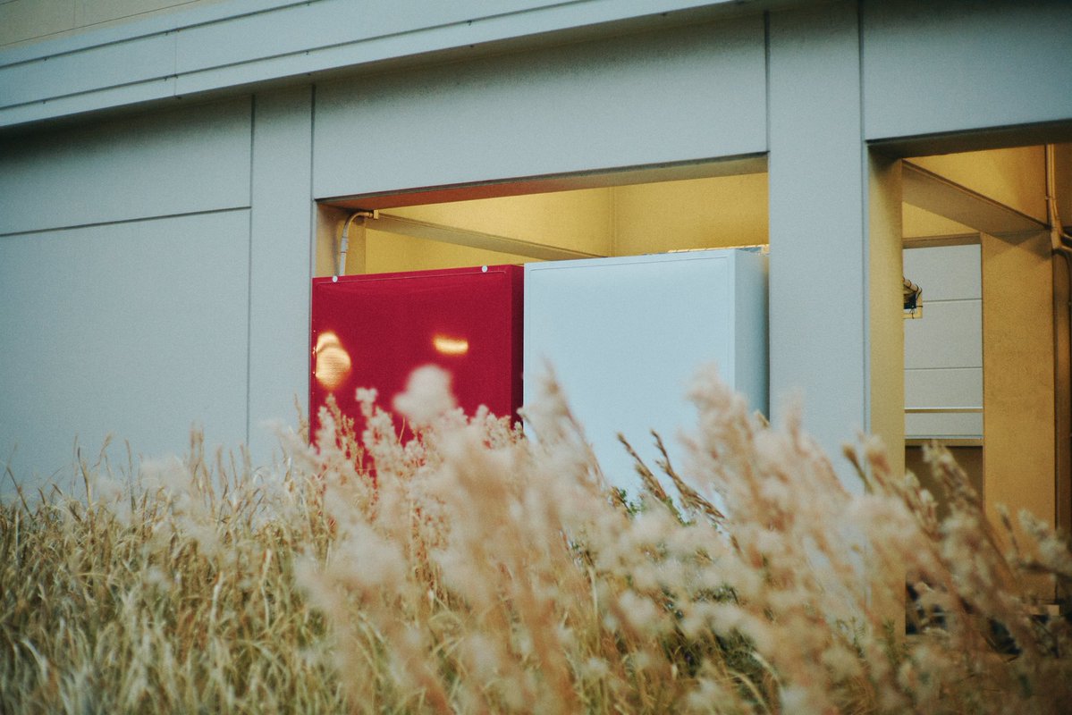 Lamp🪔 tweet media