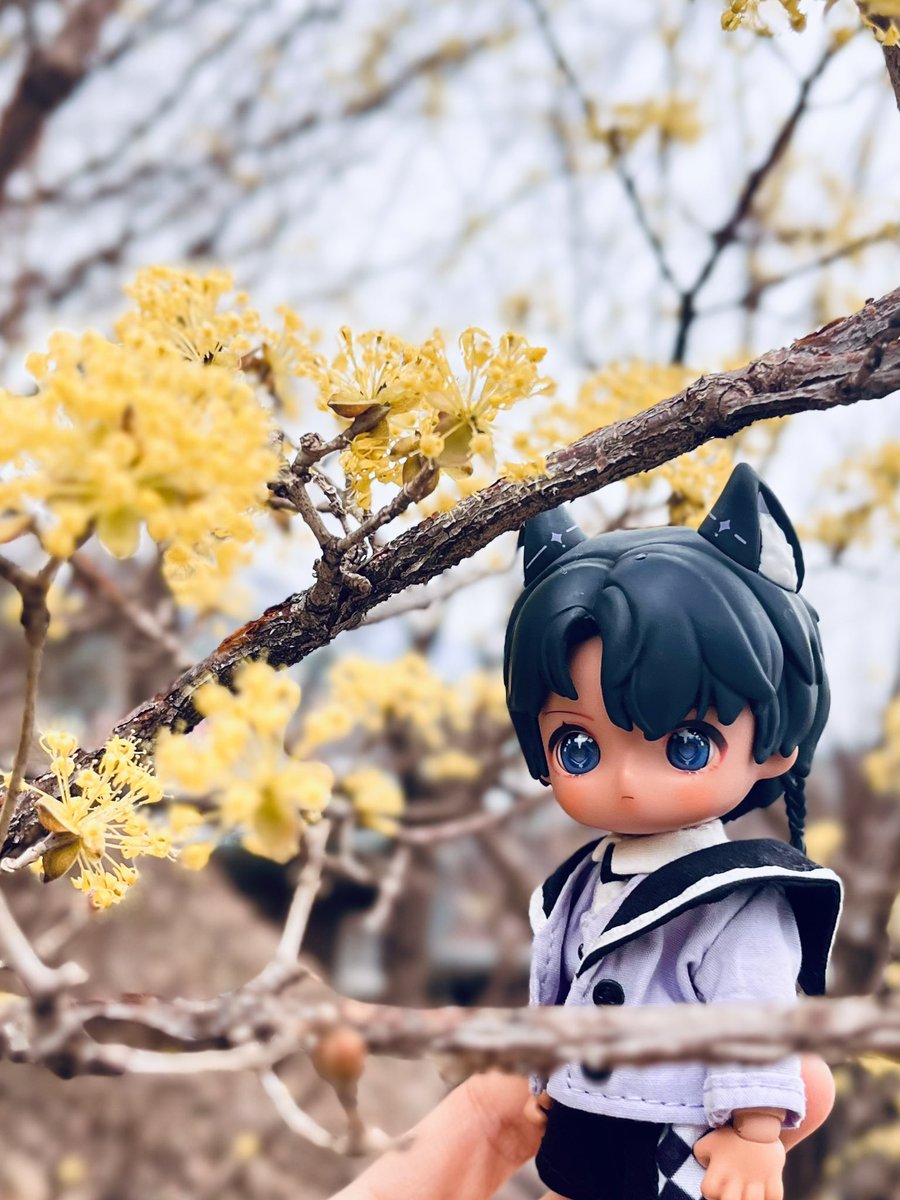 쥐인형 tweet media