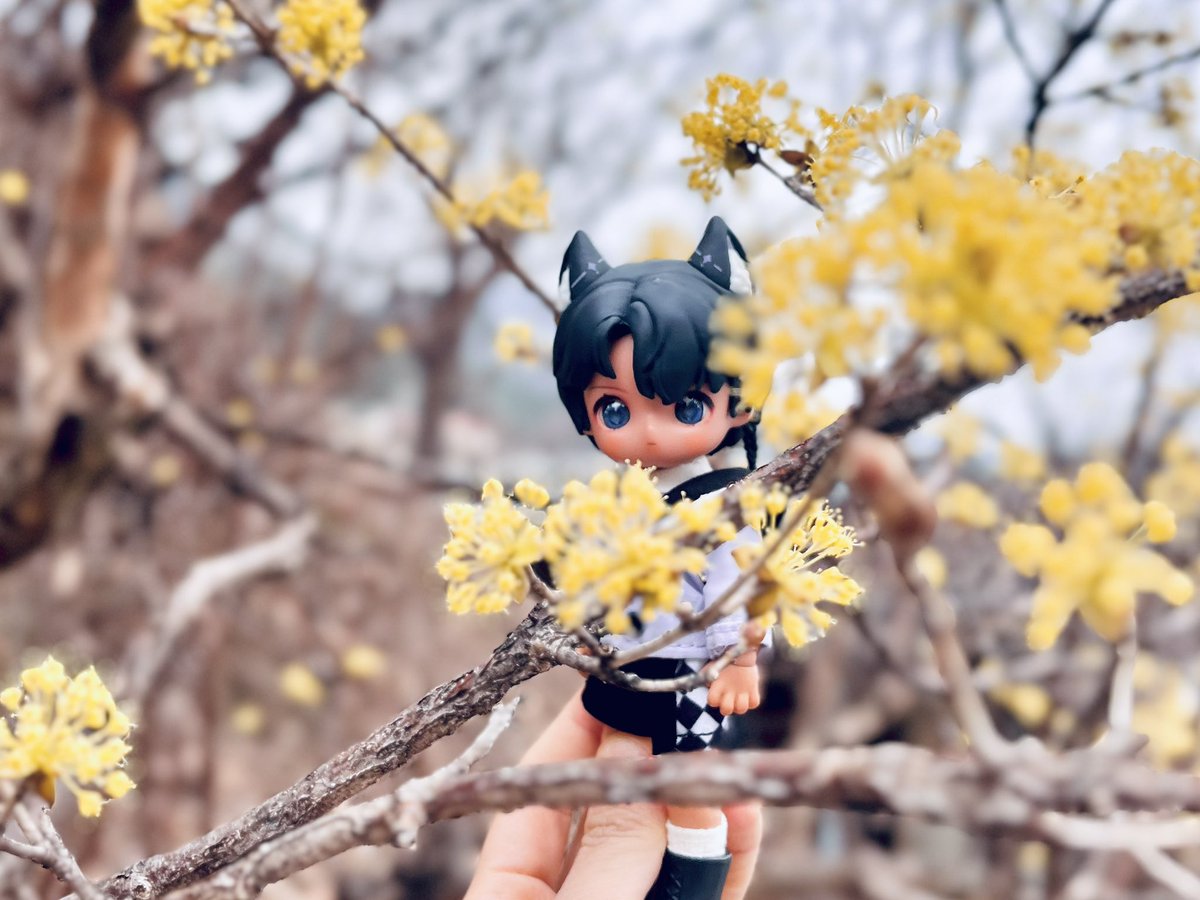 쥐인형 tweet media