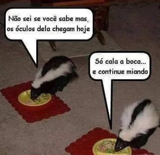 @pontinisandra McCartney tweet media