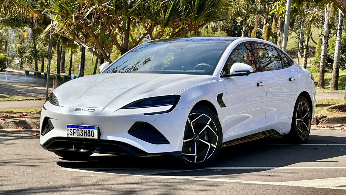 Pitbull Bullterrier tweet media