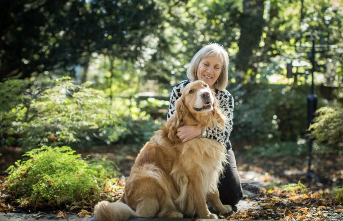 Joy Bhattacharjya tweet media