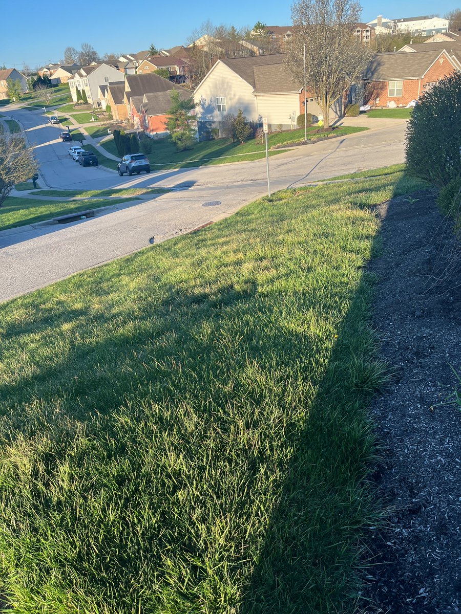 Dinergy Wealth Management tweet media