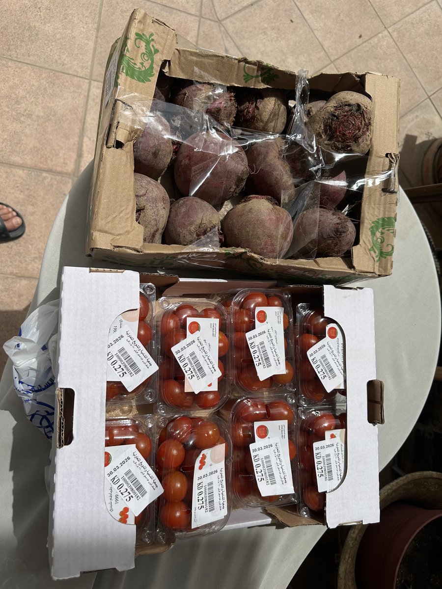 Saleh Yaseen صالح ياسين tweet media