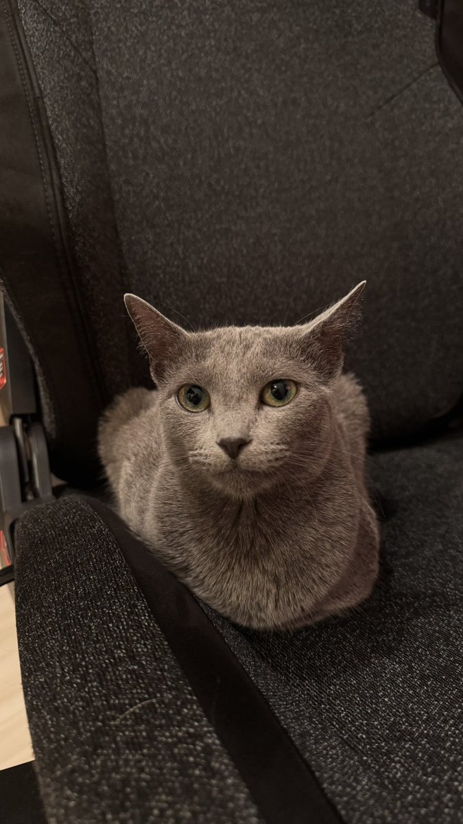 ﾊﾟﾈﾀﾞ tweet media