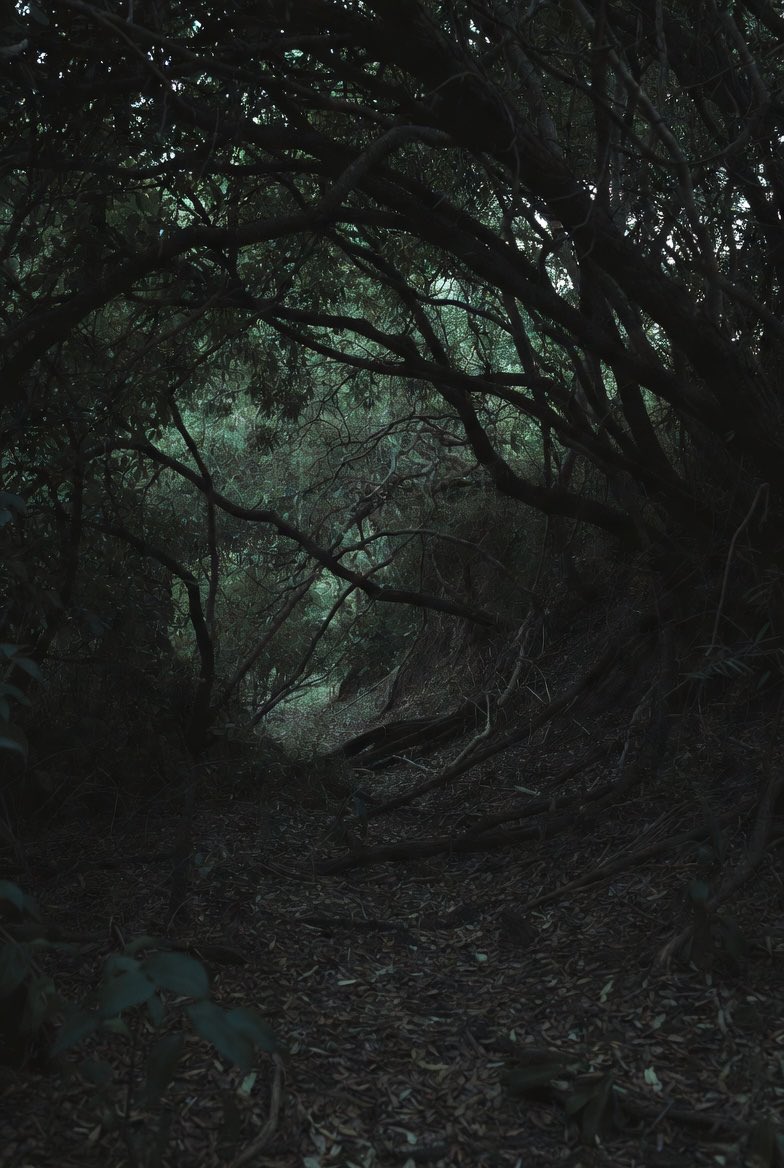 La Peque tweet media