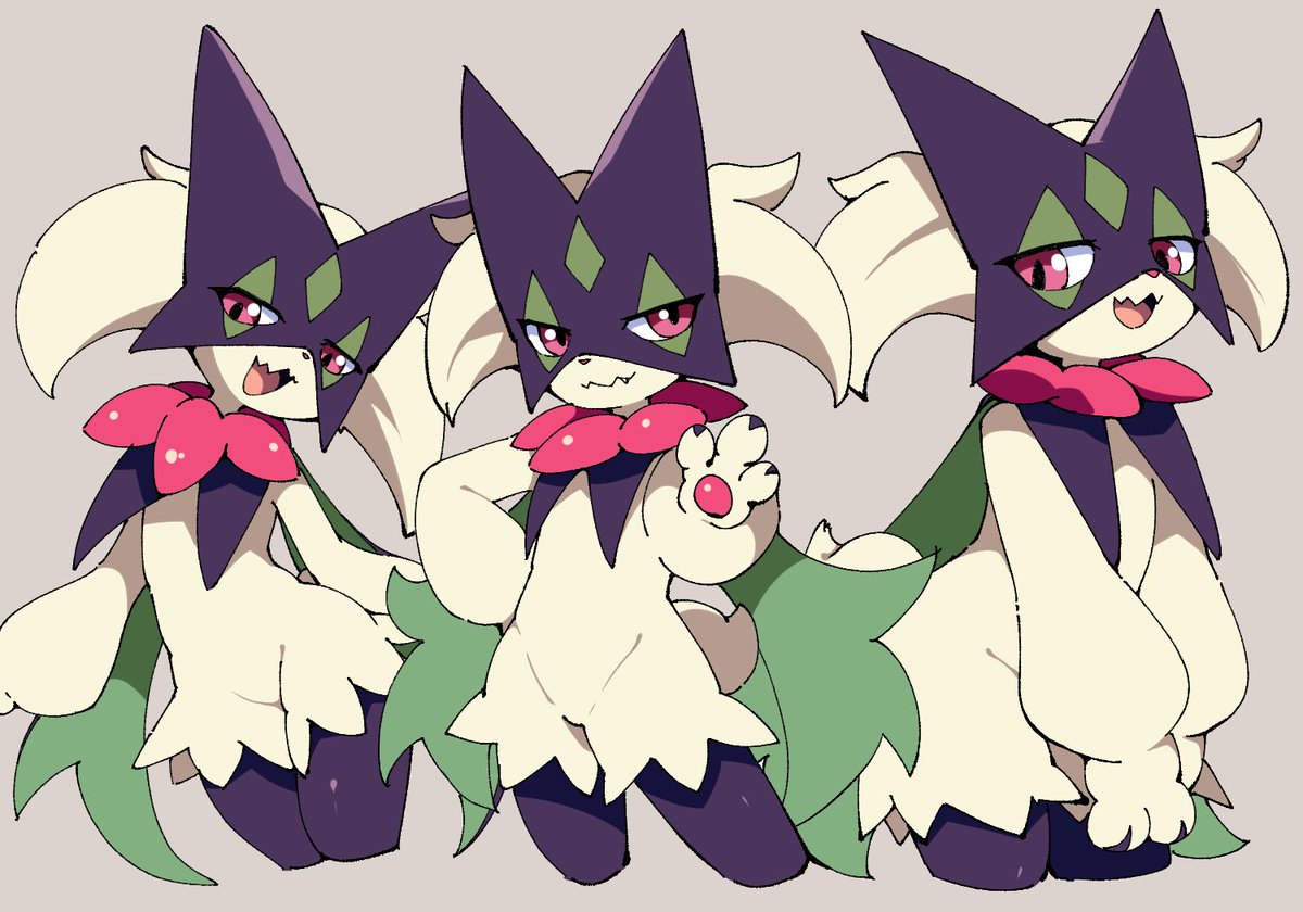 ドリー@避難所 tweet media